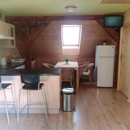 Apartments Skiareal U Vodarny Bedrichov ヤノフ・ナト・ニソウ エクステリア 写真