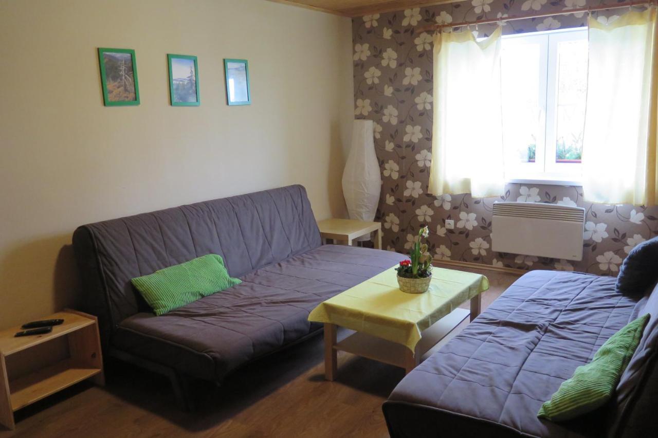 Apartments Skiareal U Vodarny Bedrichov ヤノフ・ナト・ニソウ エクステリア 写真