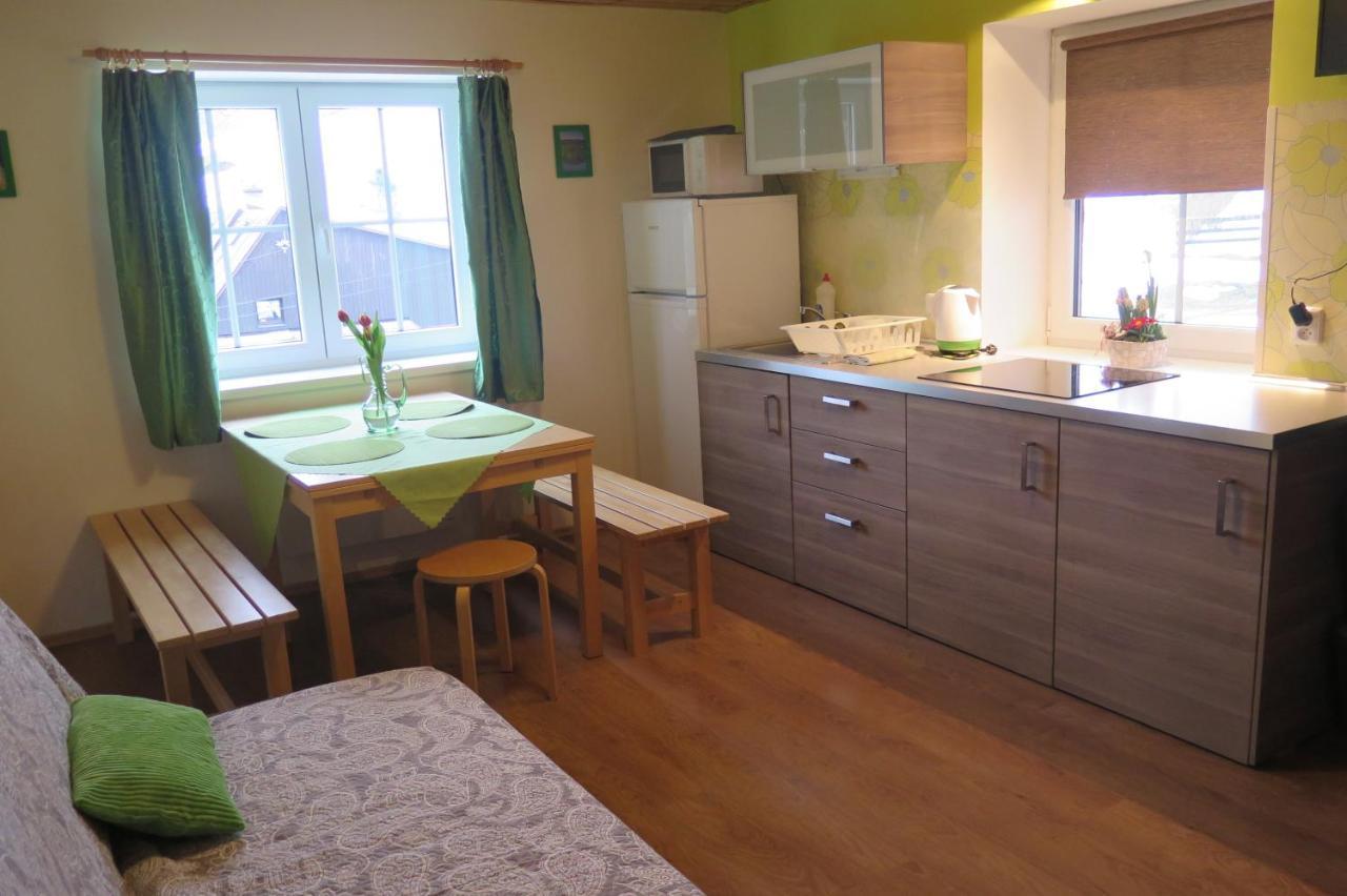 Apartments Skiareal U Vodarny Bedrichov ヤノフ・ナト・ニソウ エクステリア 写真