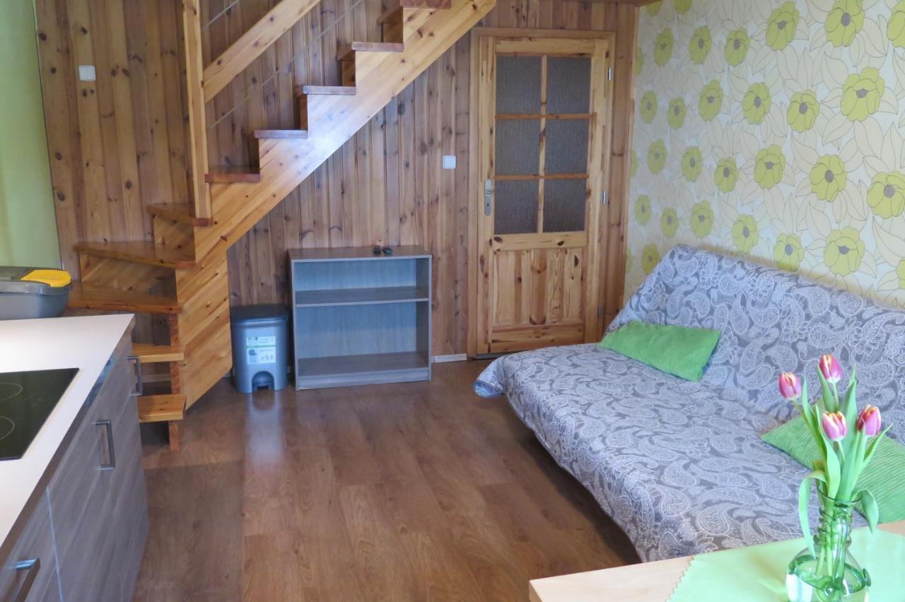 Apartments Skiareal U Vodarny Bedrichov ヤノフ・ナト・ニソウ エクステリア 写真