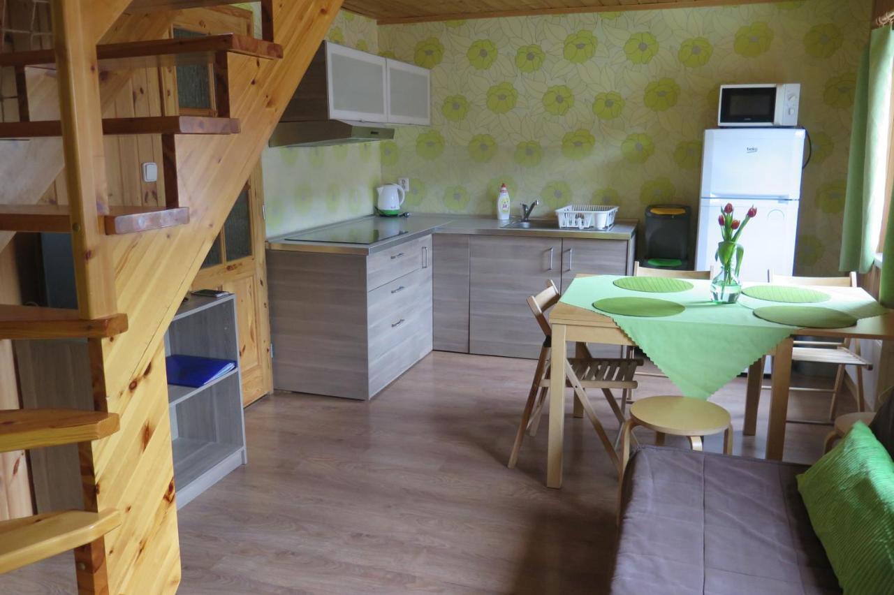 Apartments Skiareal U Vodarny Bedrichov ヤノフ・ナト・ニソウ エクステリア 写真