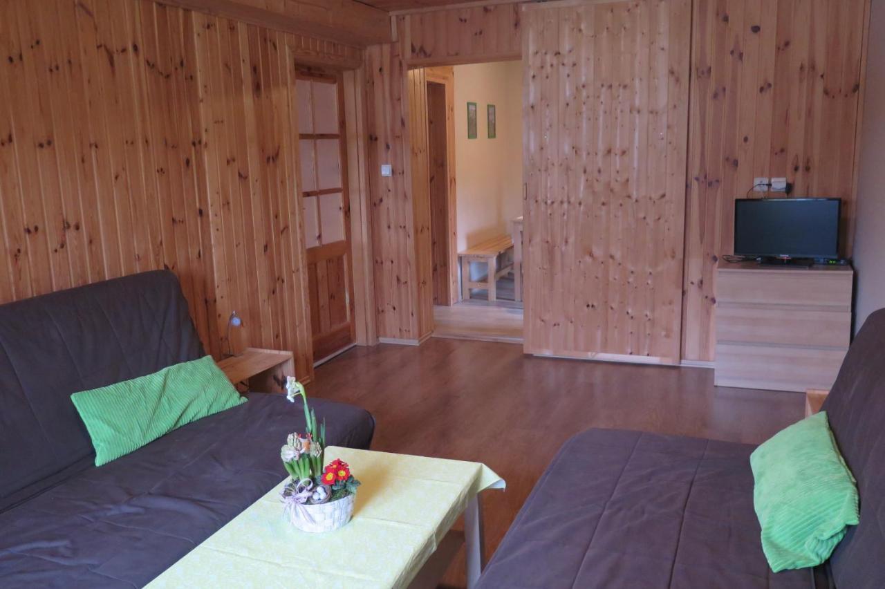 Apartments Skiareal U Vodarny Bedrichov ヤノフ・ナト・ニソウ エクステリア 写真